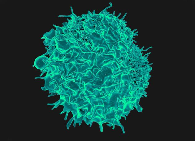 S36ɳ���� - Ҫ�����ɳ����