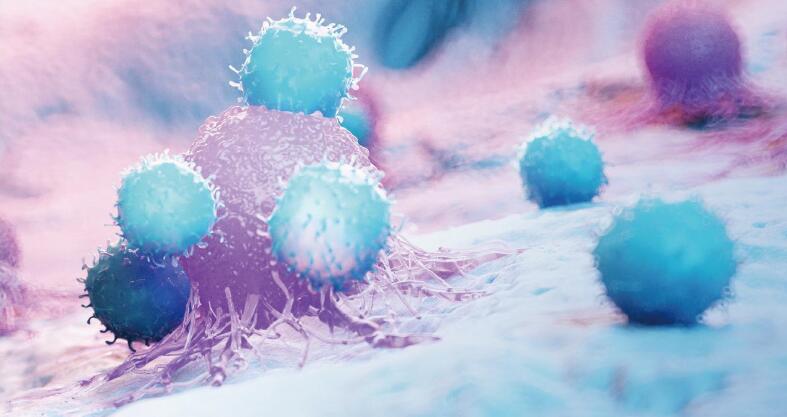 S36ɳ���� - Ҫ�����ɳ����