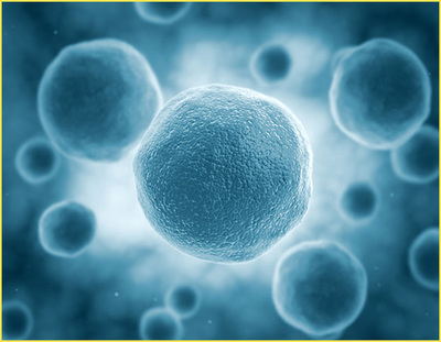 S36沙龙会 - 要玩就玩沙龙会