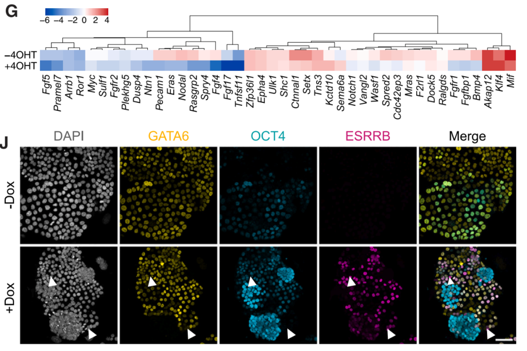 S36ɳ���� - Ҫ�����ɳ����